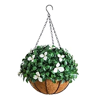 UV Resistant Gardenia Hanging Basket