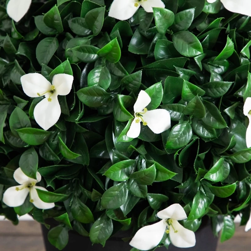 UV Resistant Gardenia Topiary Plant