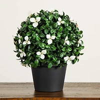UV Resistant Gardenia Topiary Plant
