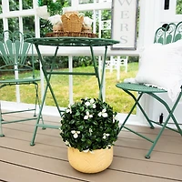 UV Resistant Gardenia Topiary Plant