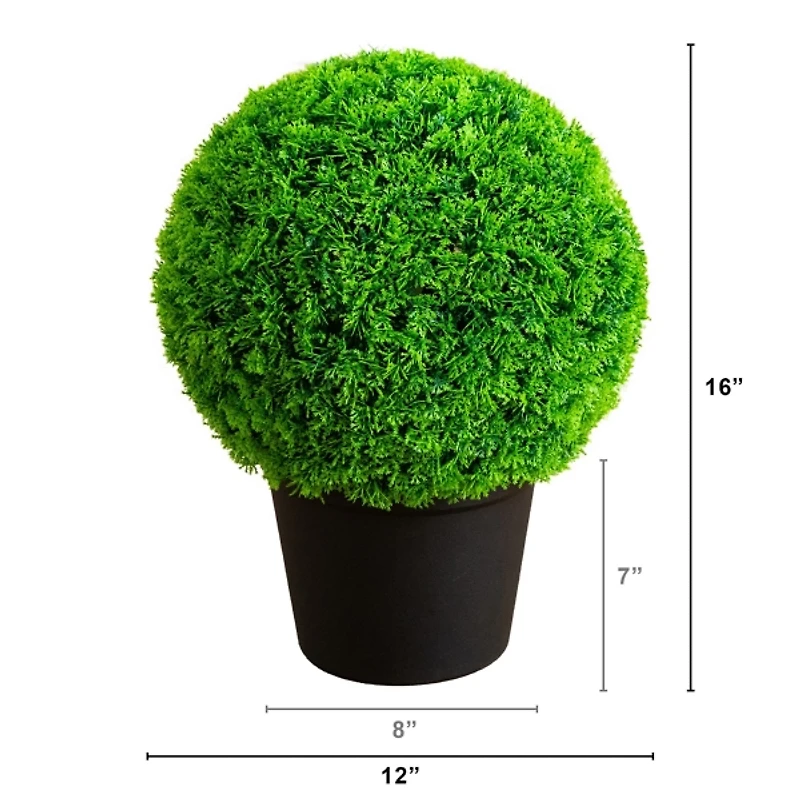 UV Resistant Mediterranean Cypress Topiary Plant