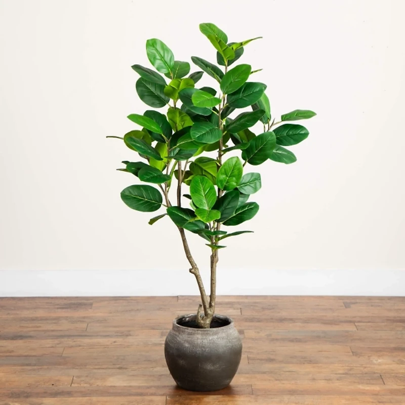 4 ft. Audrey Ficus Tree in Rustic Planter