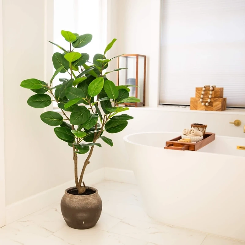 4 ft. Audrey Ficus Tree in Rustic Planter