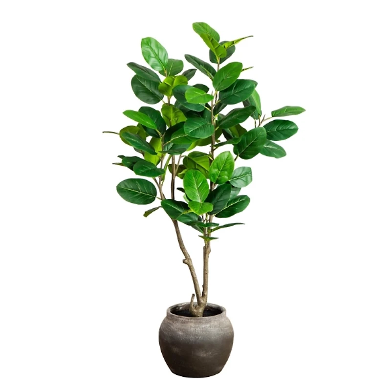 4 ft. Audrey Ficus Tree in Rustic Planter