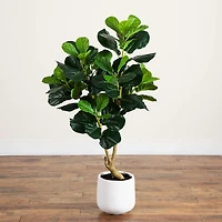 4 ft. Lush Fiddle Leaf Tree in White Planter