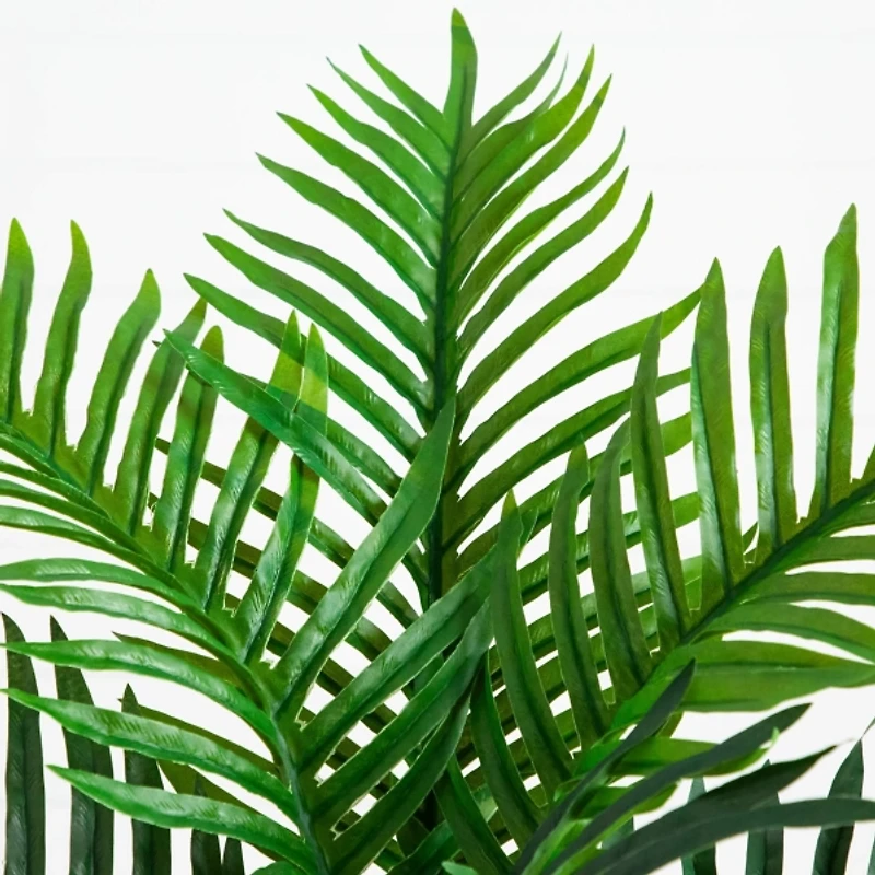 ft. UV Resistant Double Robellini Palm Tree