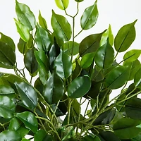 4.5 ft. UV Resistant Artificial Ficus Tree