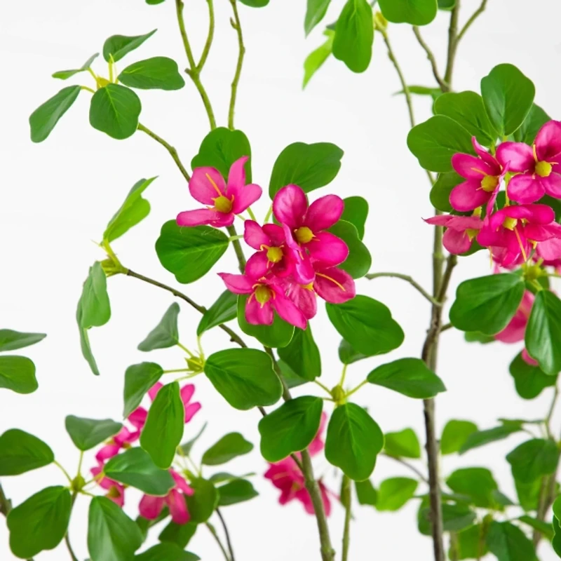 7 ft. Pink Dogwood Tree in Nursery Planter