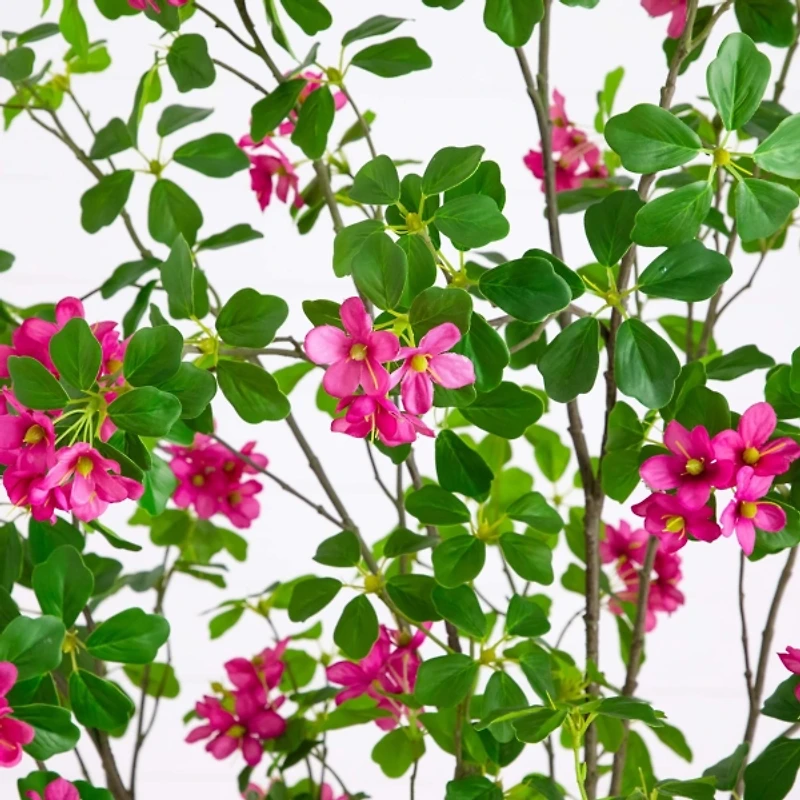 7 ft. Pink Dogwood Tree in Nursery Planter