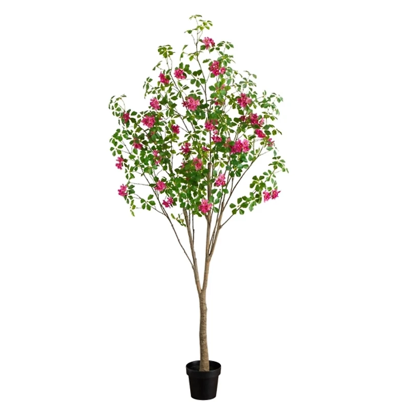 7 ft. Pink Dogwood Tree in Nursery Planter