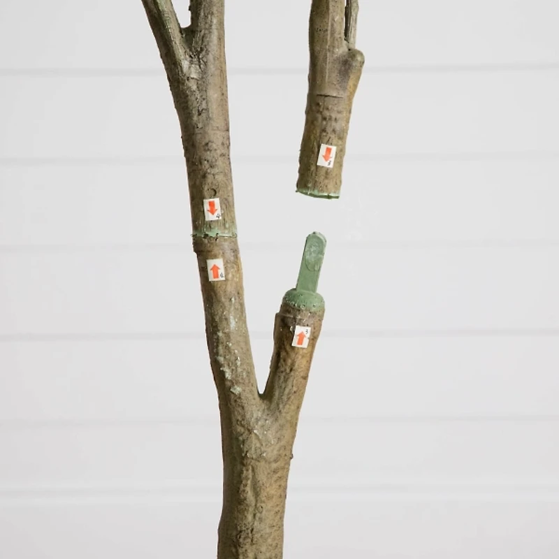 7 ft. Dogwood Tree in Nursery Planter