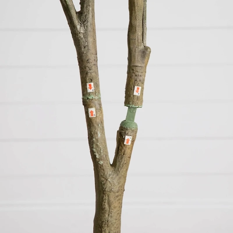 7 ft. Dogwood Tree in Nursery Planter