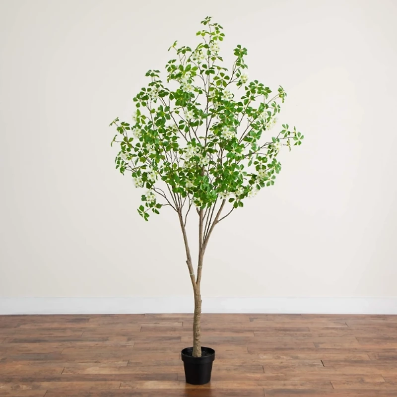 7 ft. Dogwood Tree in Nursery Planter