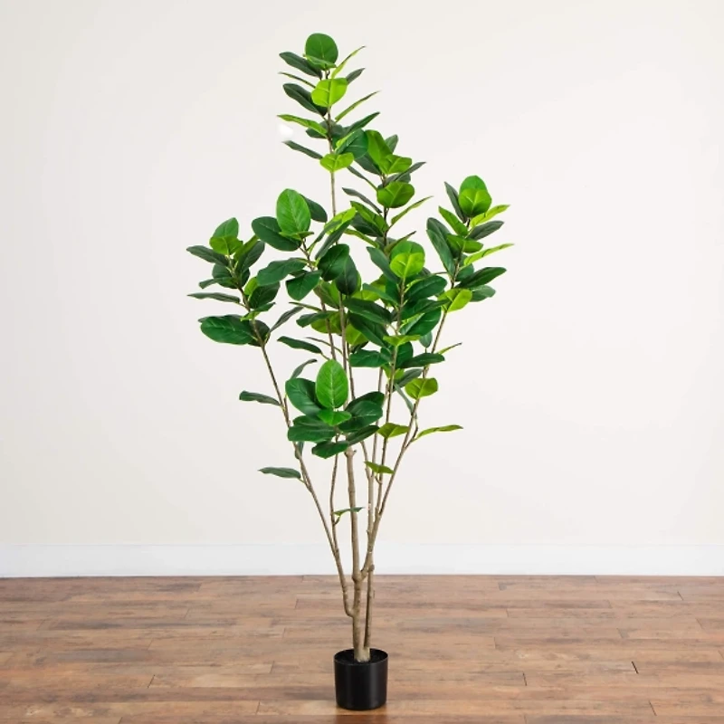 7 ft. Minimalist Audrey Ficus Tree