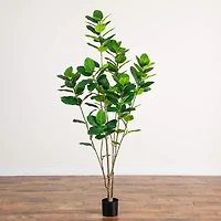 7 ft. Minimalist Audrey Ficus Tree