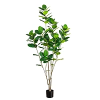 7 ft. Minimalist Audrey Ficus Tree