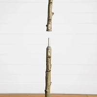 5 ft. Petite Audrey Ficus Tree