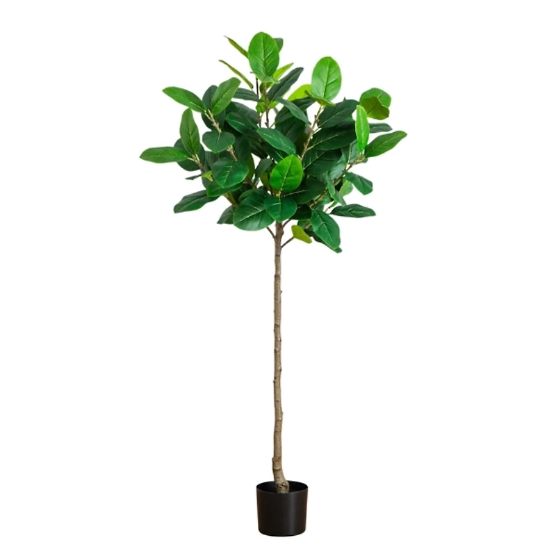5 ft. Petite Audrey Ficus Tree