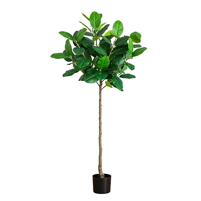 5 ft. Petite Audrey Ficus Tree