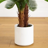 UV Resistant Double Cycas Palm Tree