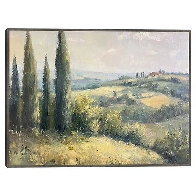 Hill Country Gray Framed Canvas Art Print