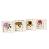Flower Seed Packet Outdoor Planters