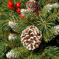 Frosted Pinecone Red Berry Christmas Wreath