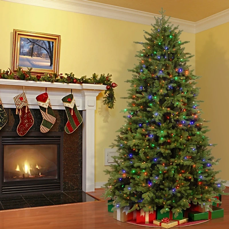 ft Pre-Lit Princeton Fraser Fir Christmas Tree