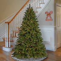 7.5 ft. LED Downswept Douglas Fir Christmas Tree