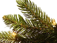 7.5 ft. Pre-Lit Grande Fir Christmas Tree
