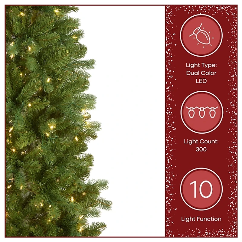 ft. Dual LED Douglas Fir Christmas Tree