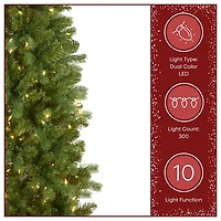 ft. Dual LED Douglas Fir Christmas Tree