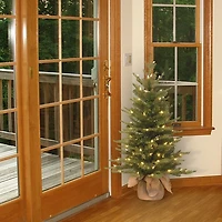 3 ft. Pre-Lit Nordic Spruce Christmas Tree