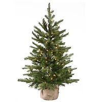 3 ft. Pre-Lit Nordic Spruce Christmas Tree