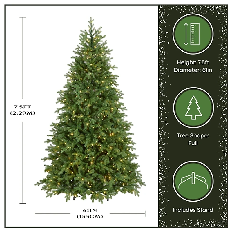 7.5 ft Pre-Lit Princeton Fraser Fir Christmas Tree