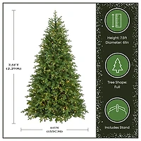 7.5 ft Pre-Lit Princeton Fraser Fir Christmas Tree
