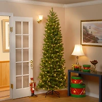 9 ft. Pre-Lit Downswept Douglas Fir Christmas Tree