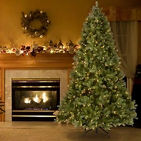 6.5 ft Dual LED Douglas Fir Christmas Tree