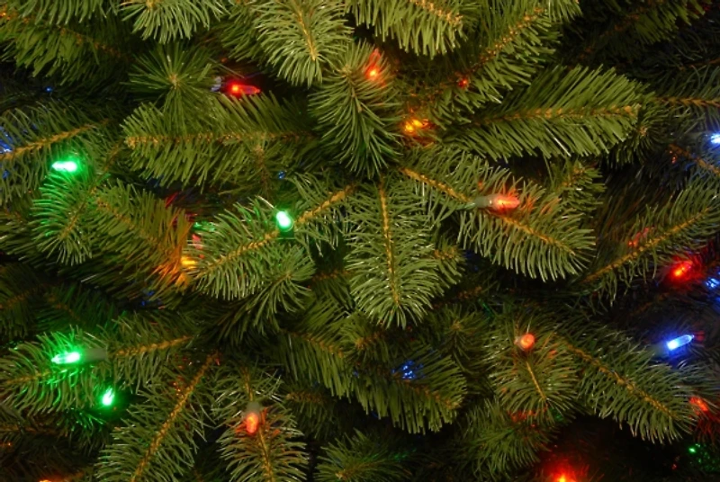 6.5 ft Dual LED Douglas Fir Christmas Tree