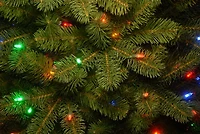 6.5 ft Dual LED Douglas Fir Christmas Tree