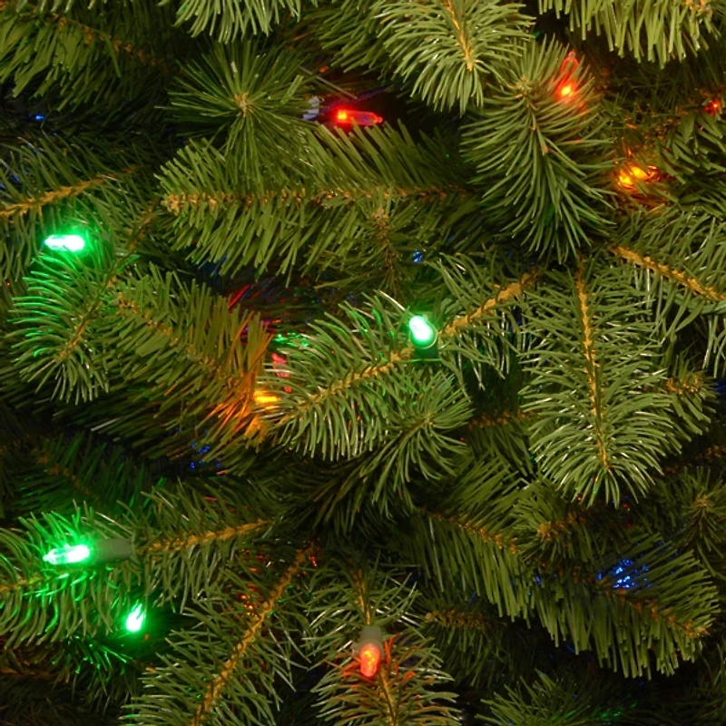 ft. Dual LED Douglas Fir Christmas Tree