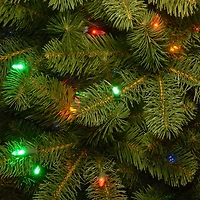 ft. Dual LED Douglas Fir Christmas Tree