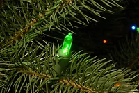 ft. Dual LED Douglas Fir Christmas Tree