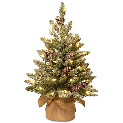 2 ft. Pre-Lit Snowy Concolor Fir Christmas Tree
