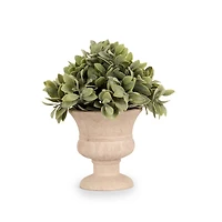 Boxwood Greenery Urn Arrangement
