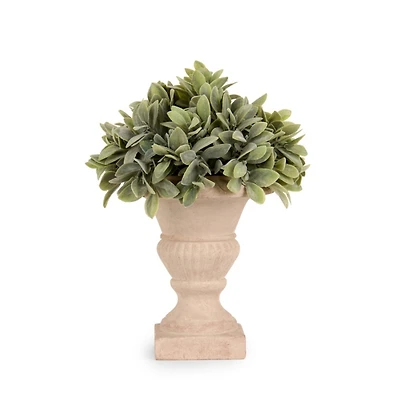 Boxwood Greenery Urn Arrangement, 12 in.