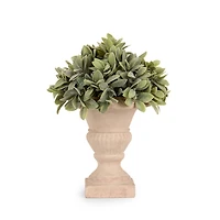 Boxwood Greenery Urn Arrangement, 12 in.