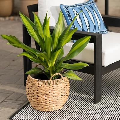 Woven Outdoor Planter, 13 in.