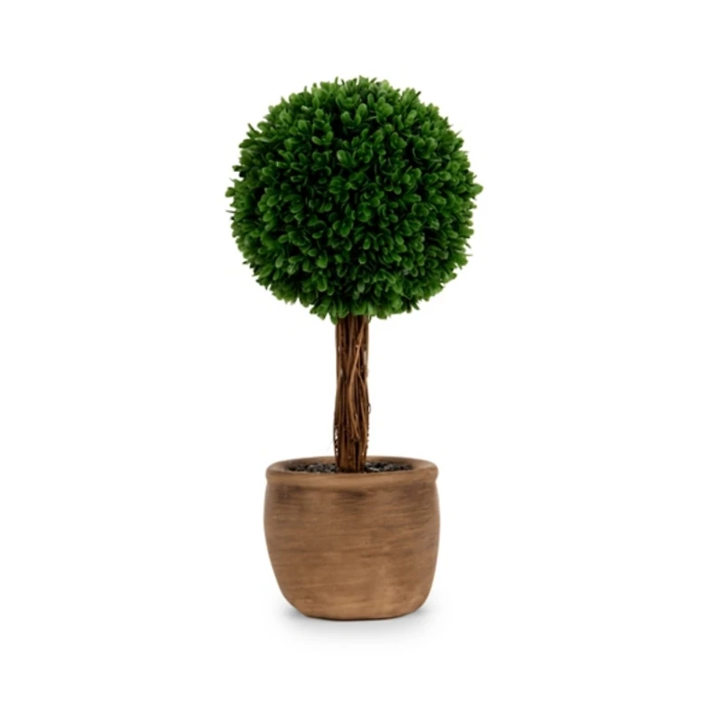 Boxwood Arrangement in Neutral Vase