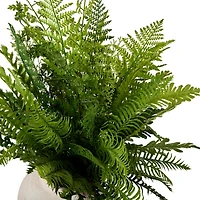 Greenery in Cement Pot Floor Plant